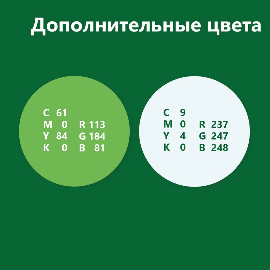Руководство по логотипу_Монтажная область 1 копия 9.png