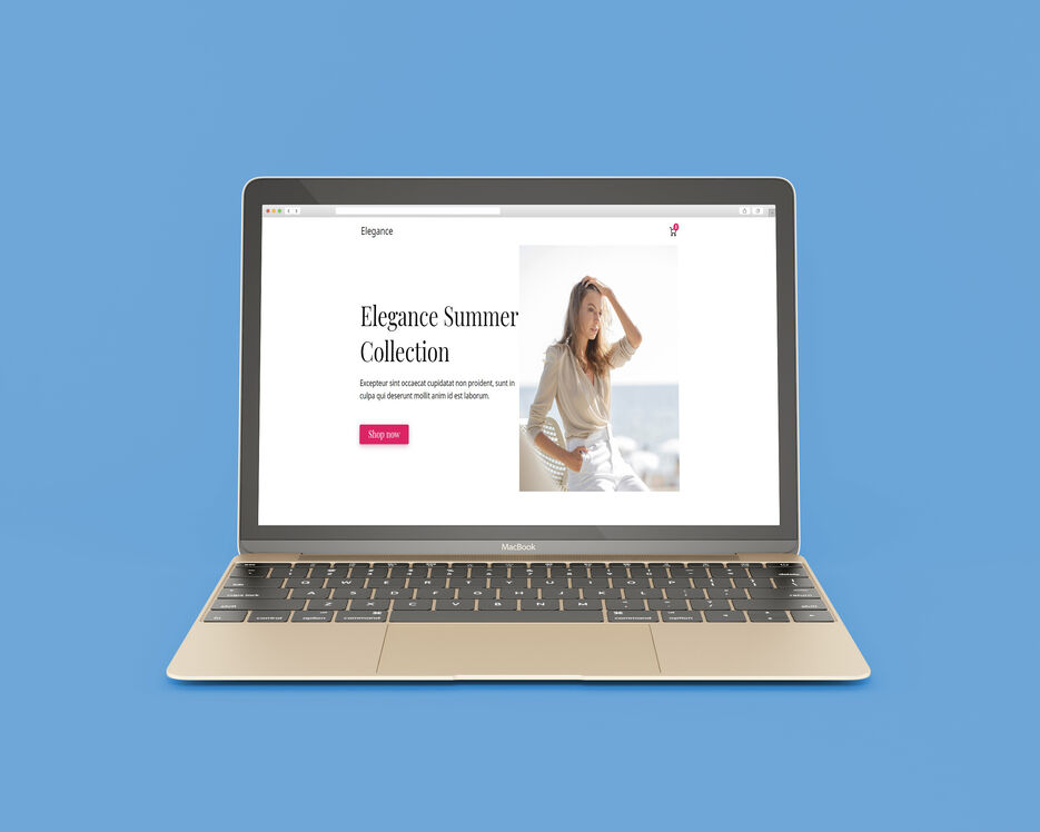 webshop.jpg
