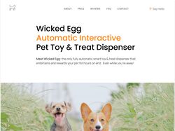 Wicked Egg  Automatic Interactive Pet Toy & Treat