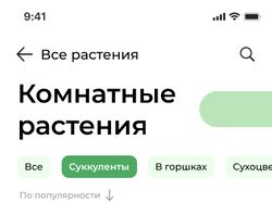 Дизайн мобильного приложения по продаже цветов