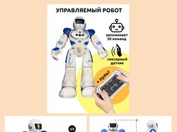 Инфографика для Willdberries