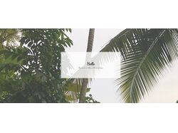 HTML5, гиперссылки