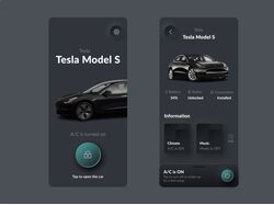 Мобильное приложение для Tesla