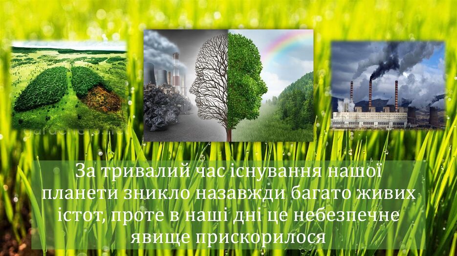 Снимок экрана (136).png