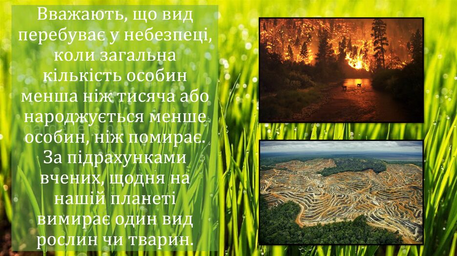 Снимок экрана (137).png