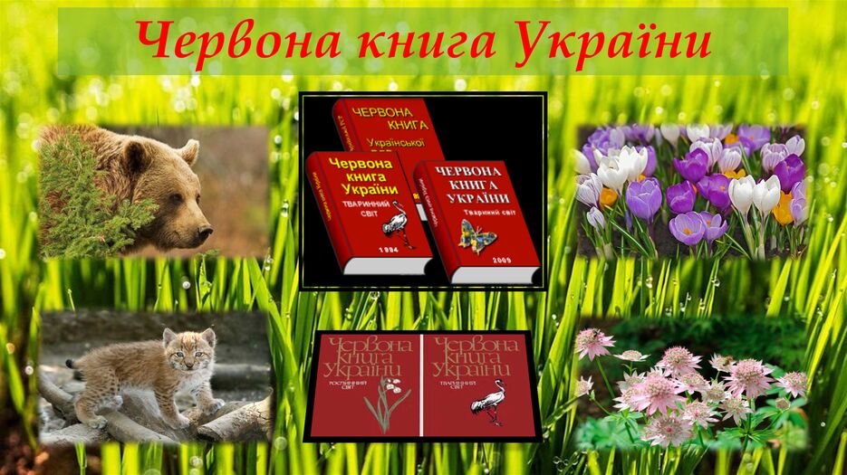 Снимок экрана (139).png