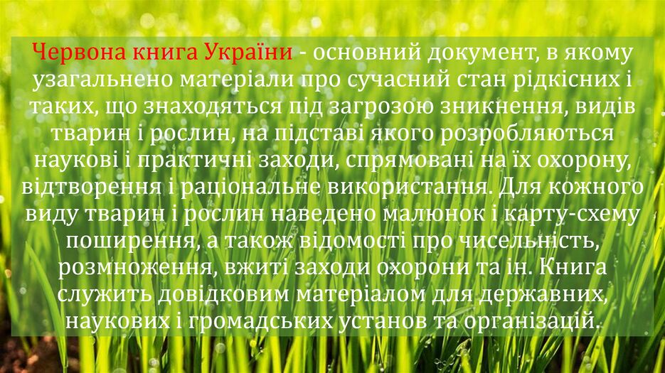 Снимок экрана (140).png