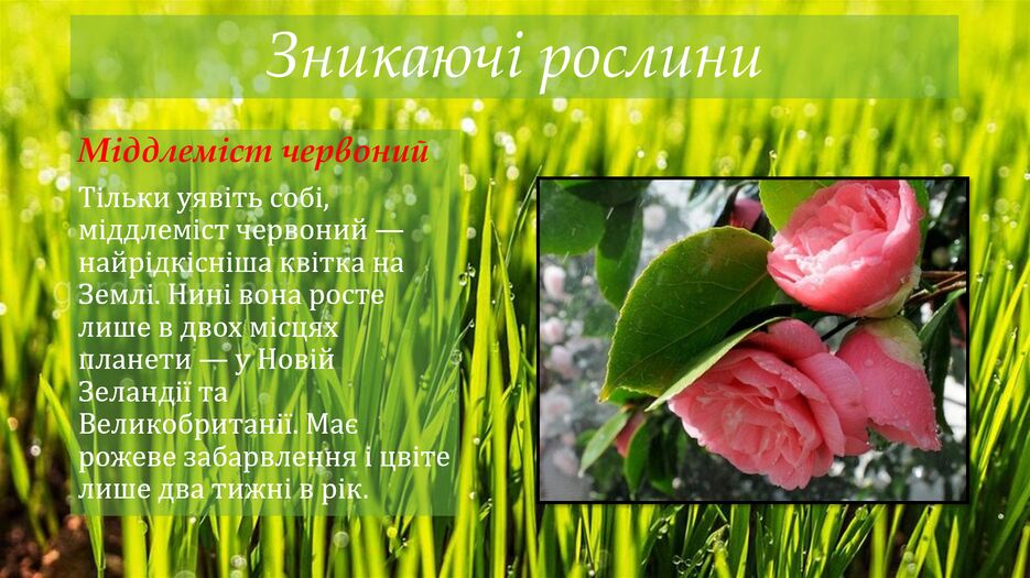 Снимок экрана (141).png