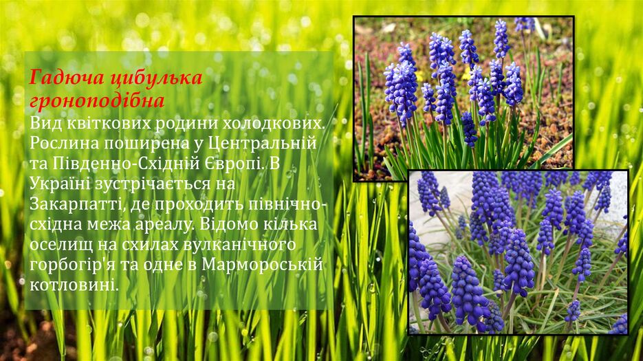 Снимок экрана (146).png
