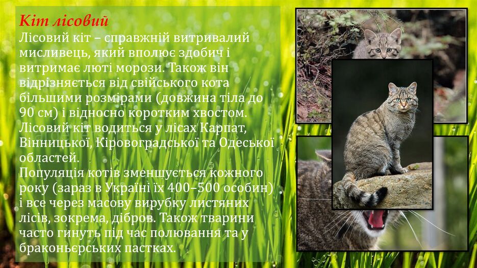 Снимок экрана (150).png