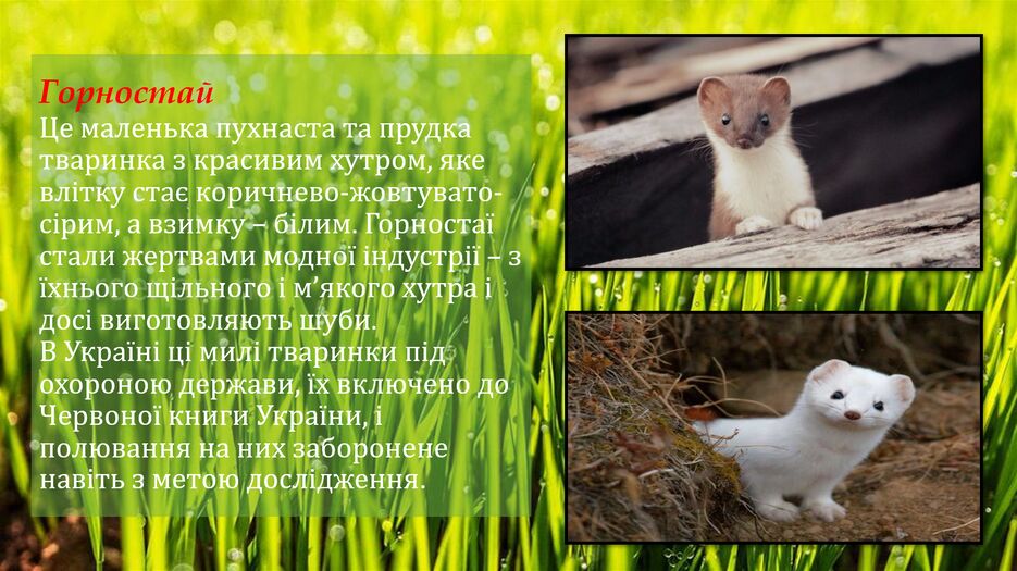 Снимок экрана (152).png
