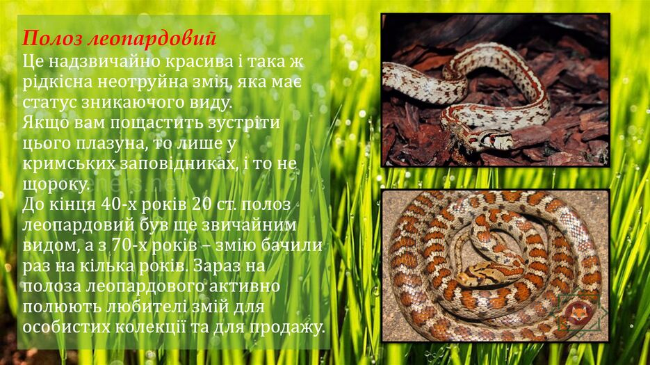 Снимок экрана (153).png