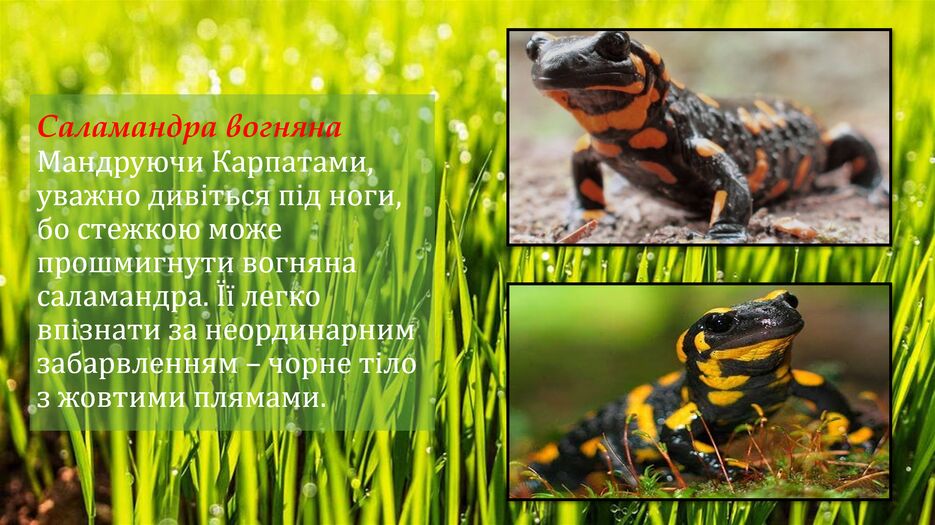 Снимок экрана (154).png