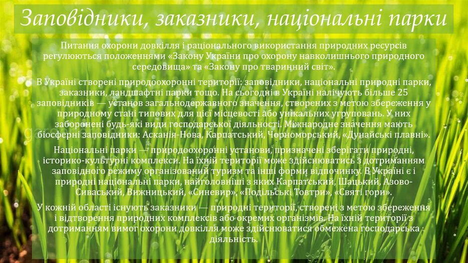 Снимок экрана (156).png