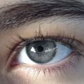 leila_sembai