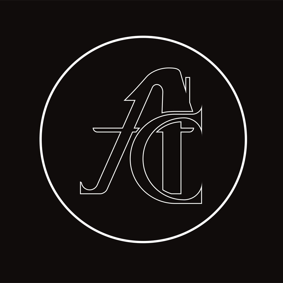 Attic Cat 3.0_Монтажная область 1 копия 6.jpg