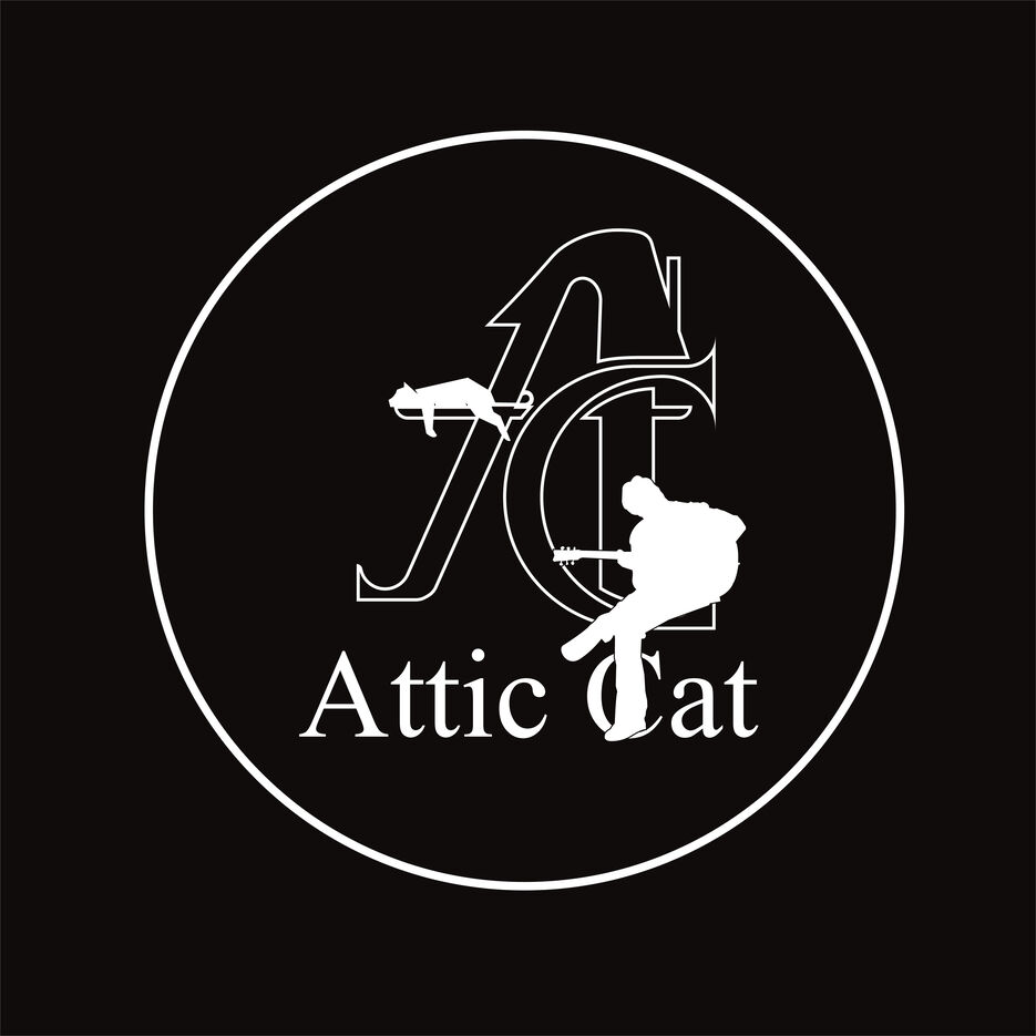 Attic Cat 3.0_Монтажная область 1 копия 17.jpg