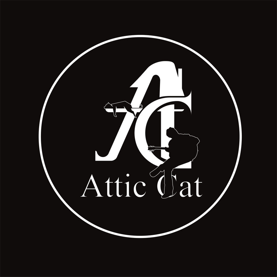 Attic Cat 3.0_Монтажная область 1 копия 19.jpg