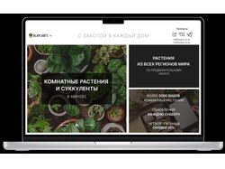 Онлайн-каталог магазина комнатных растений