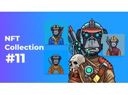NFT collection #11