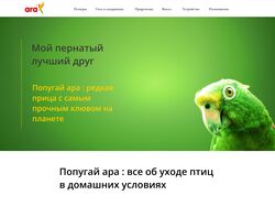 Статья о попугаях