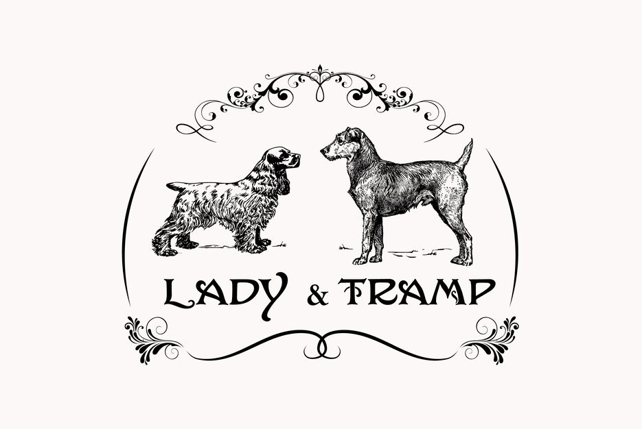 lady.png