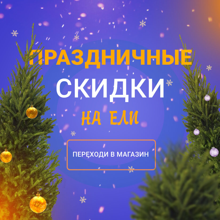 ЕЛИ.jpg