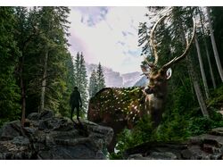 ФотоАрты
