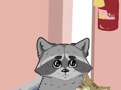 Енот с котом