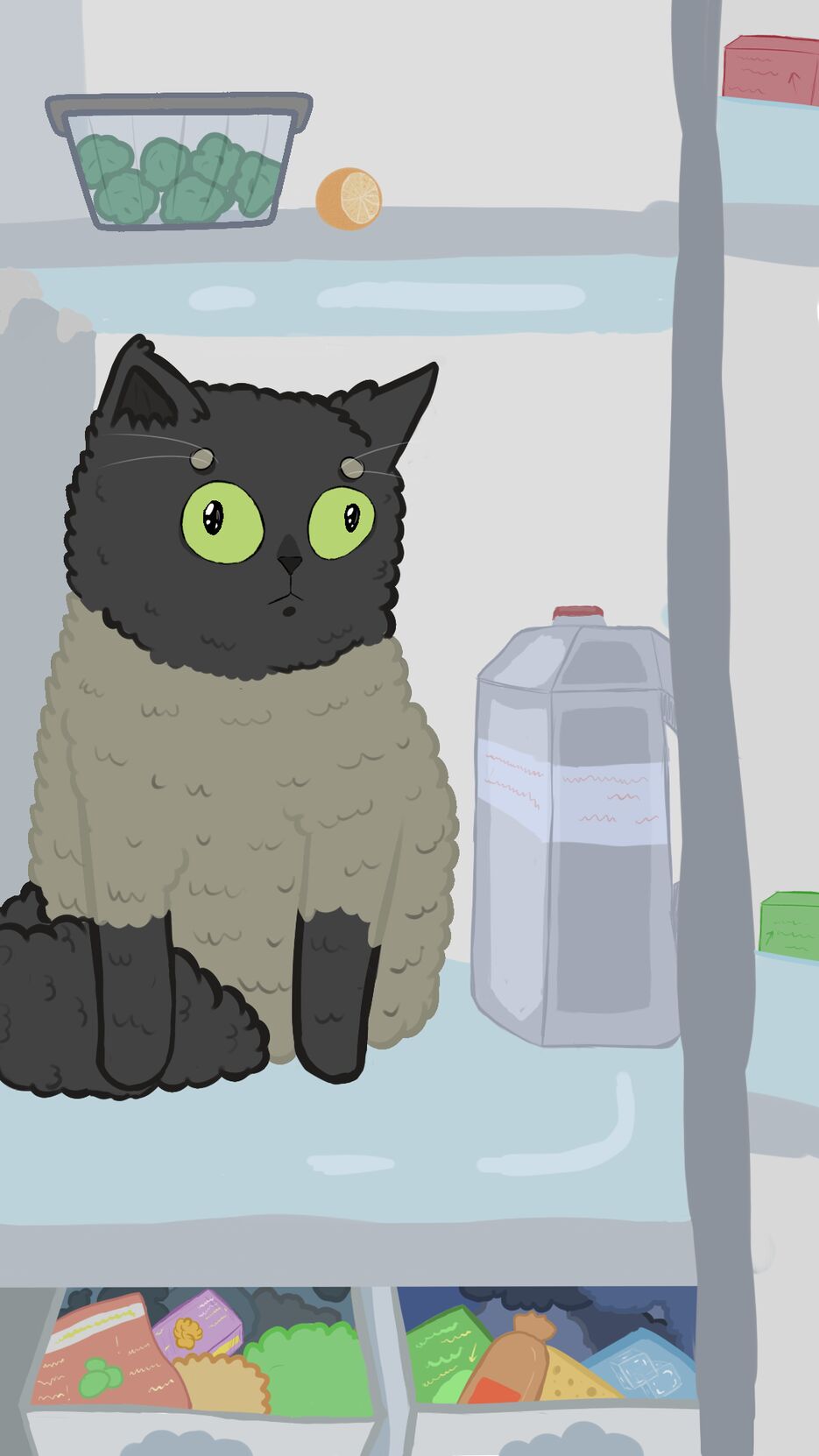 кот 2.png