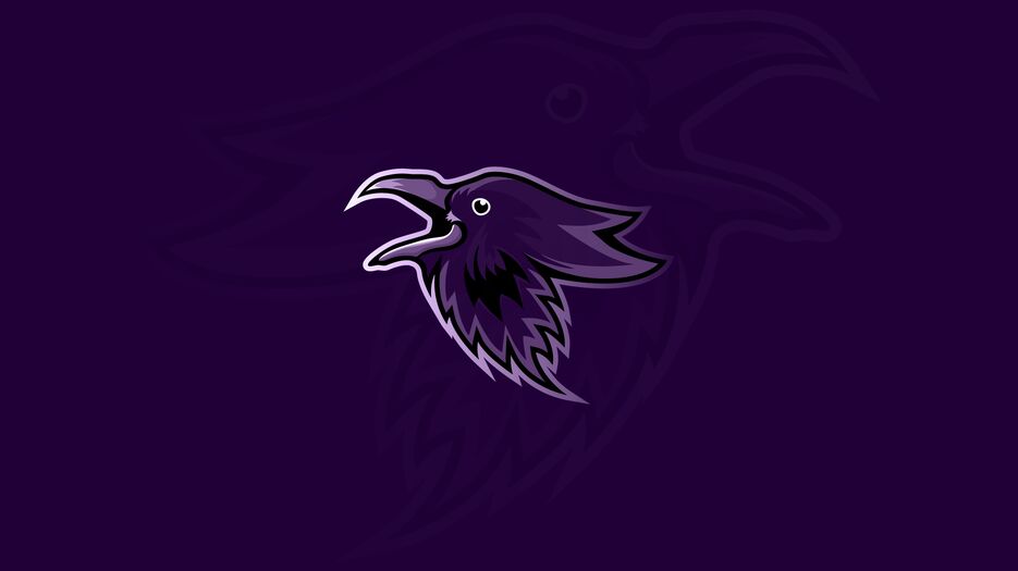 raven.png