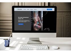 Landing-page