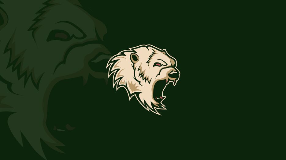 bear.png