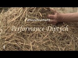 announcement of Performance Diptych