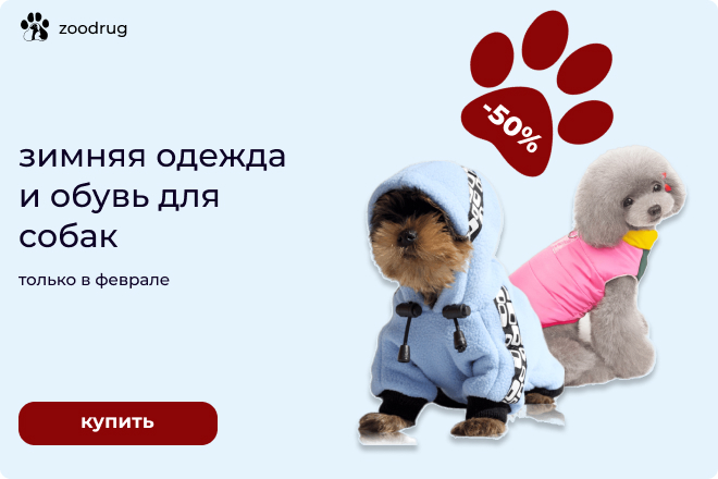 зоомагазин.jpg