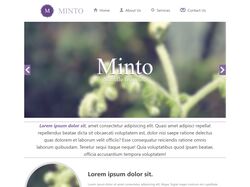 Инфо-сайт Minto