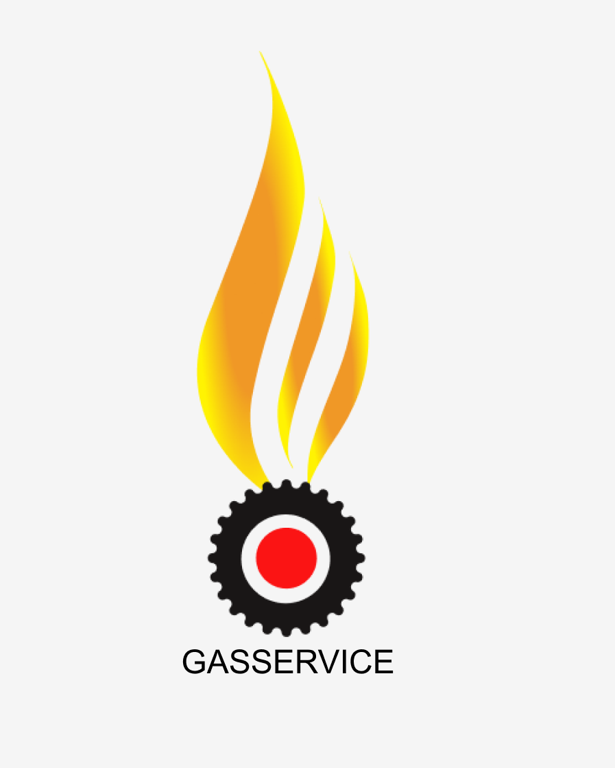 GAS5.png