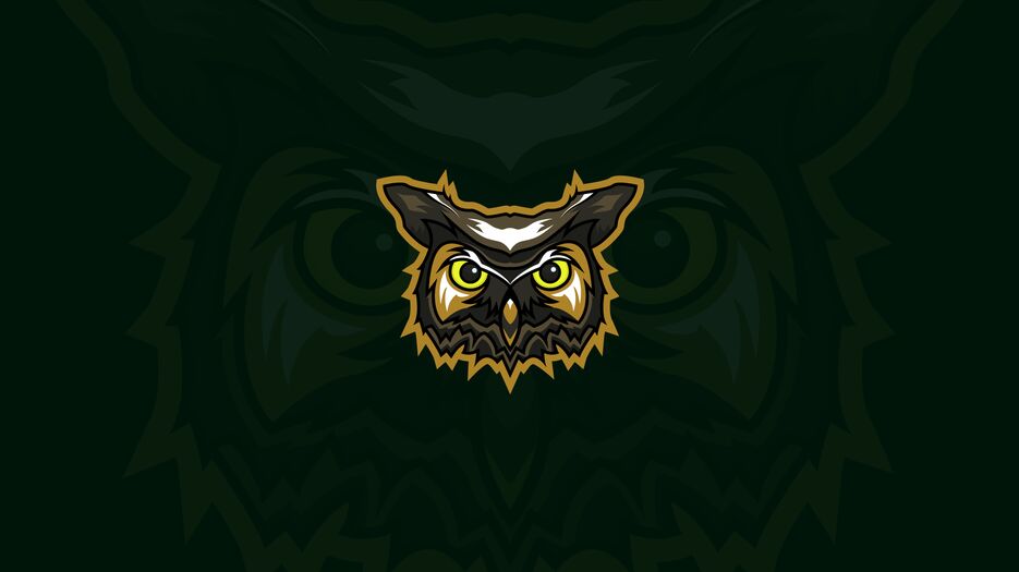 owl.png
