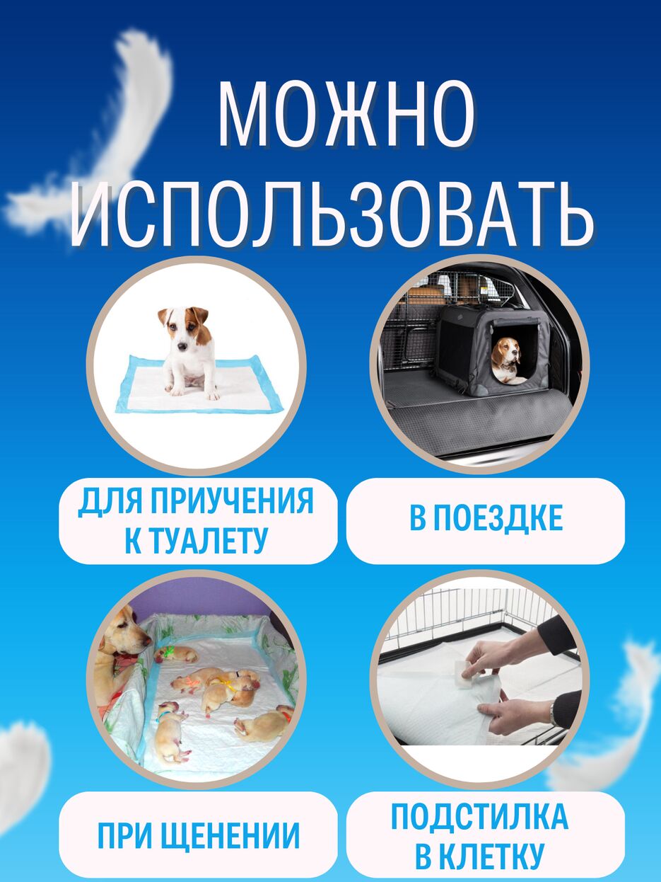 d85fdbb3-9934-4cd4-89d3-007b58f096e7.png