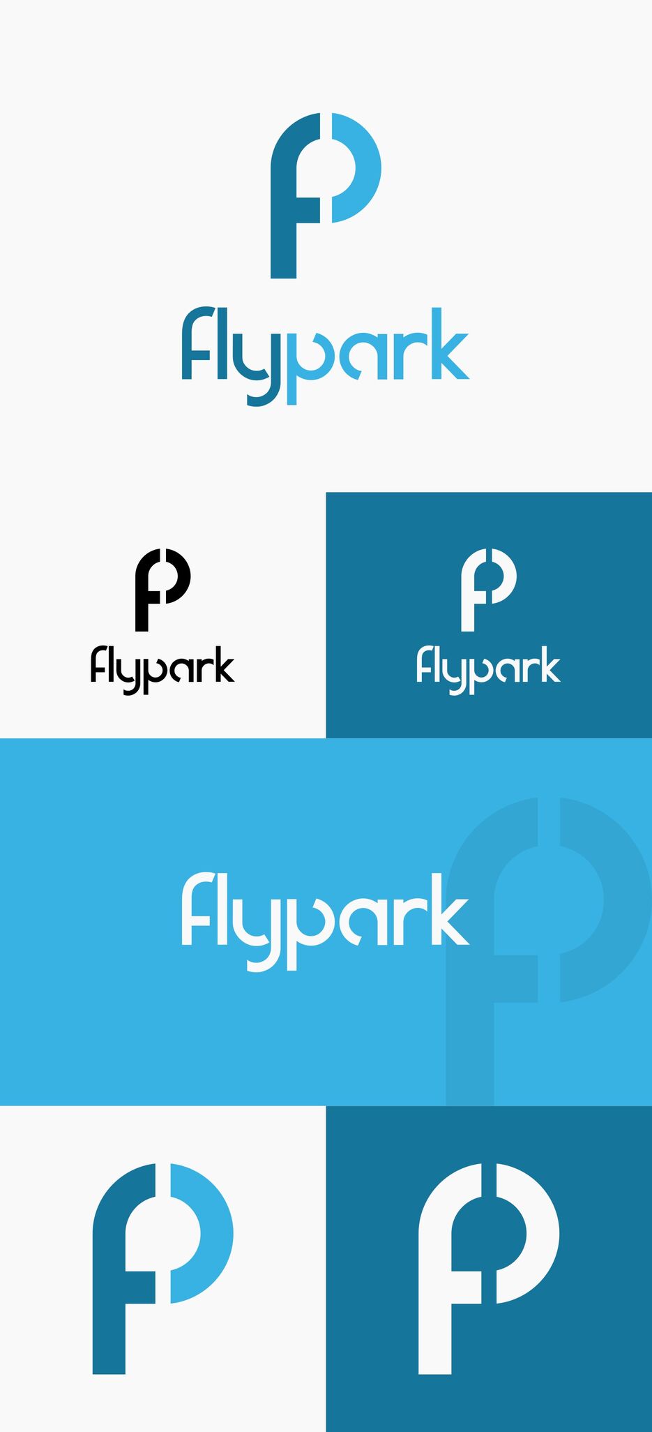 flyparkPresentation.jpg