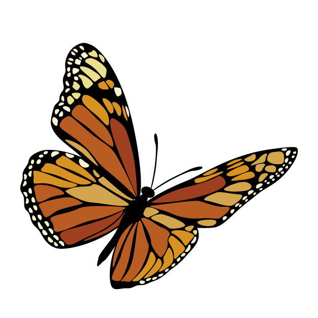 7.png