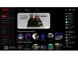Music platform dashboard.