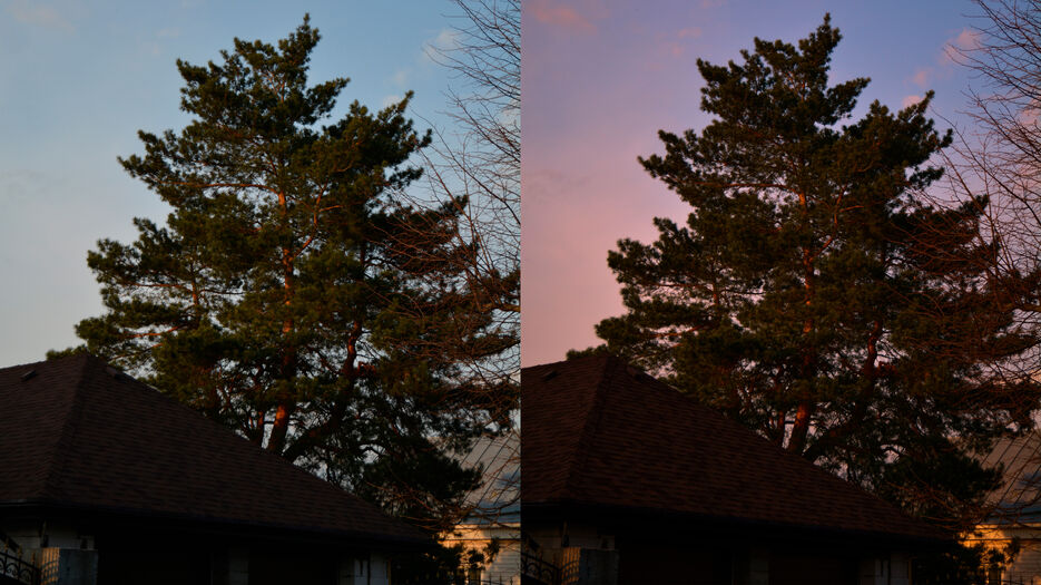 DSC_1400.jpg