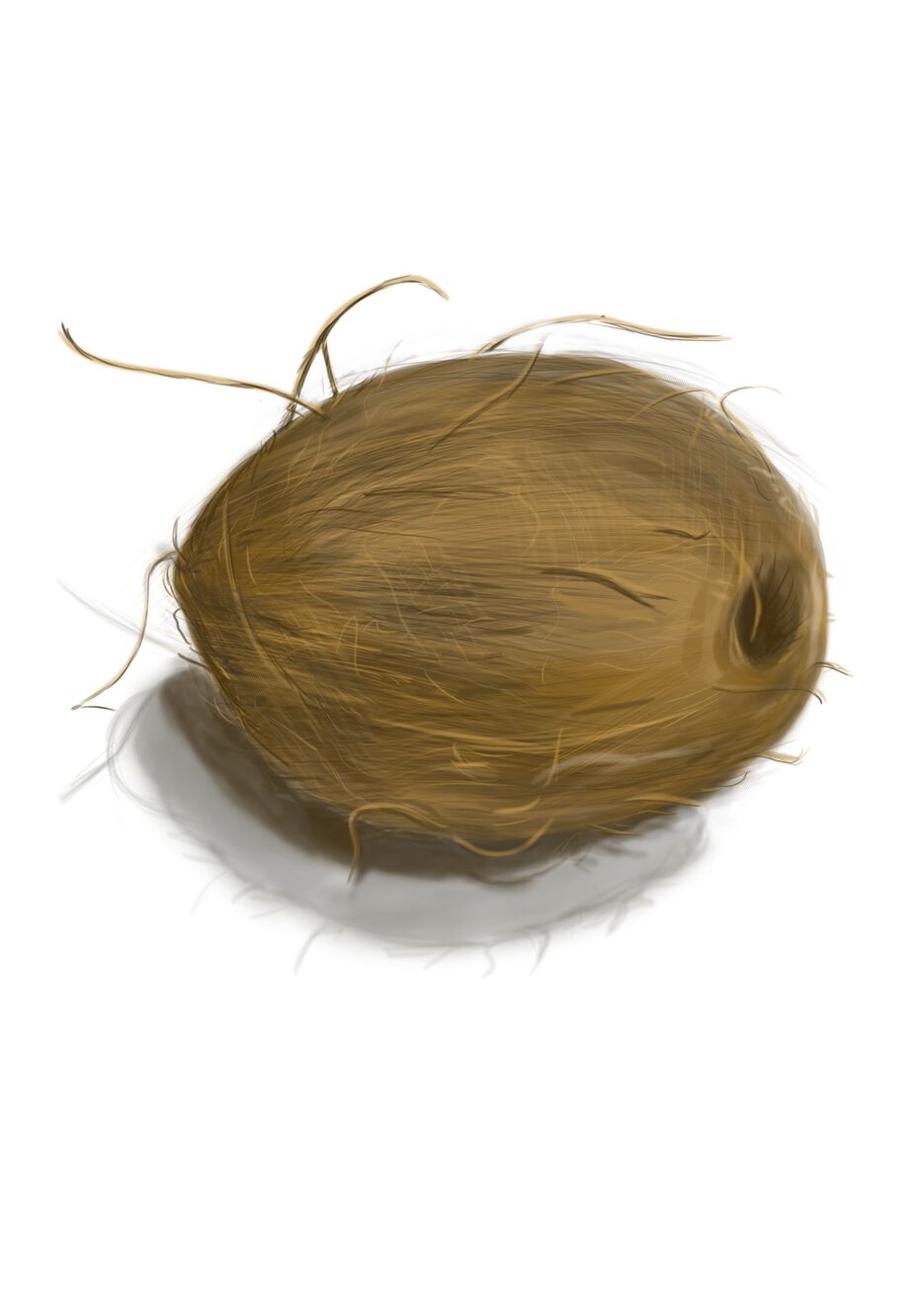 кокос.png