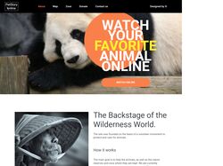 Online zoo
