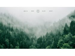 Вёрстка сайта | html / css / js