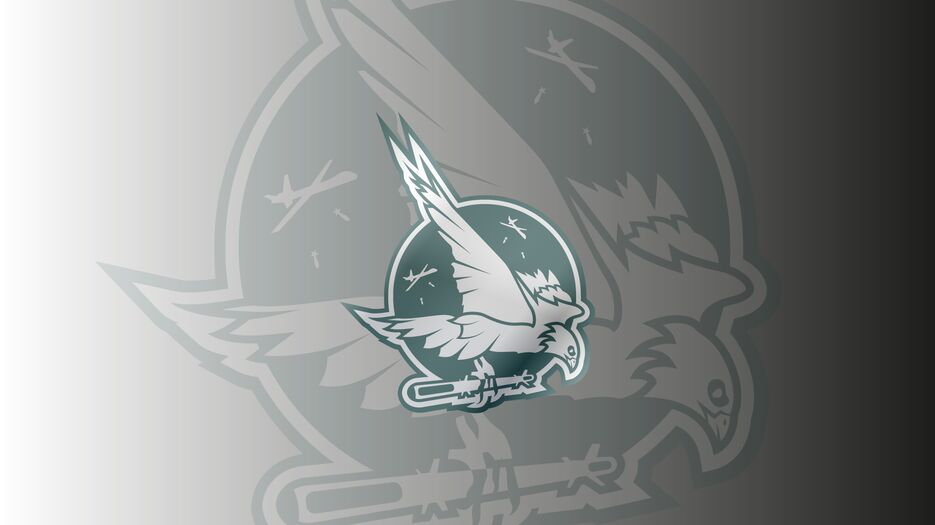 falcon.png