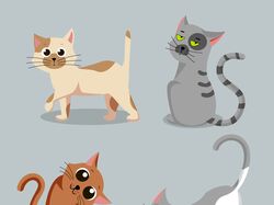 Котики