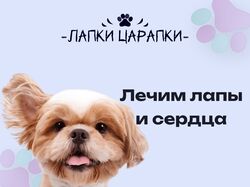 Ветеринарная клиника "Лапки царапки"