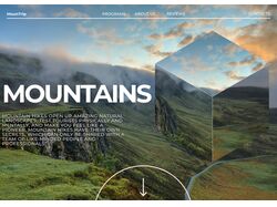 Site's home page 